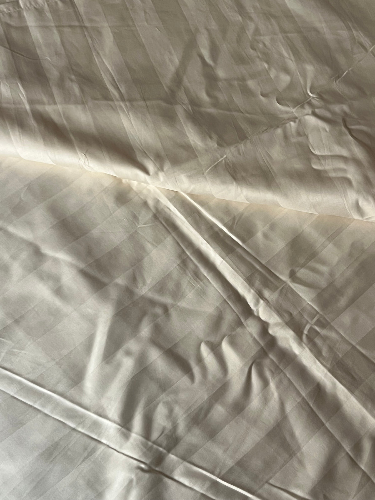 Moonlight